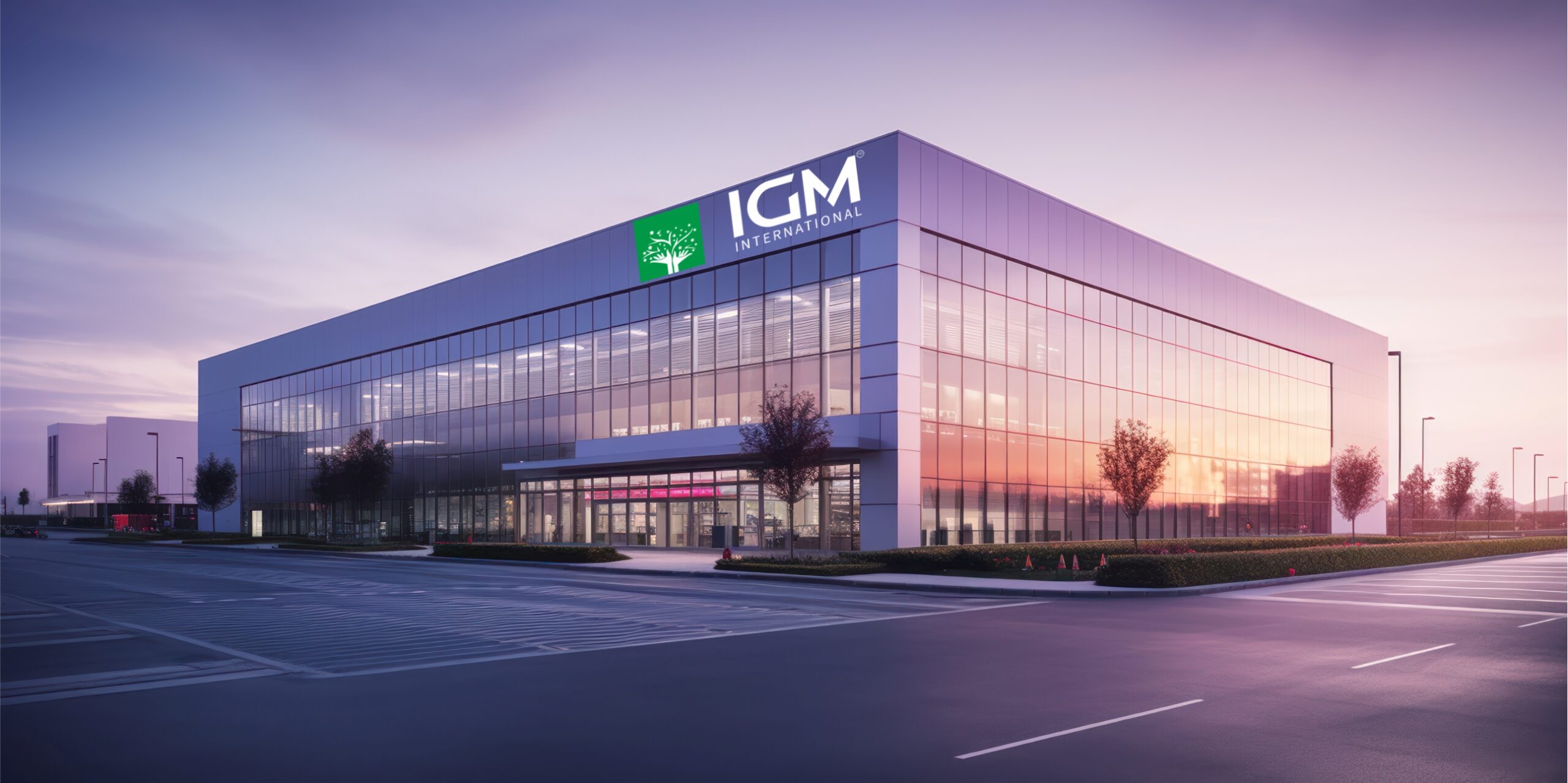 igm international company images